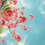 Radiant Farms - photo 6