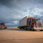 Moving Company Palmdale - photo 5