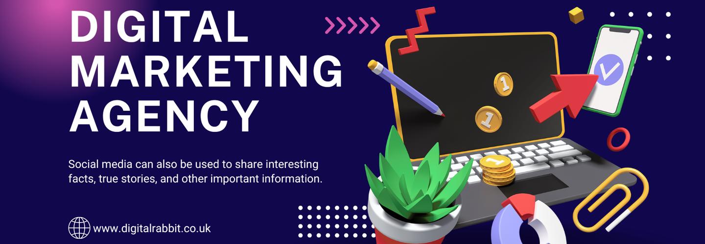 Digital Rabbit cover photo