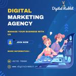 Digital Rabbit - photo 3