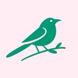 Mocksi - Web Design & Development in Panama City