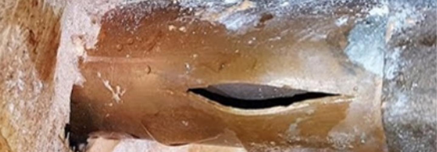 Plume Plumbing cover photo