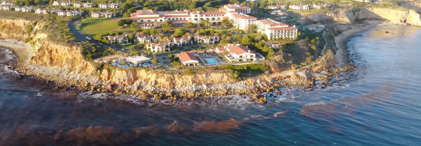 Evelyn Baez cover photo