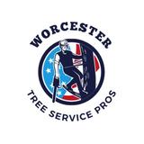Worcester Tree Service Pros - Tree Services in Worcester