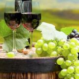 Chillout Travel Winery Tours - Wine Tours in Melbourne
