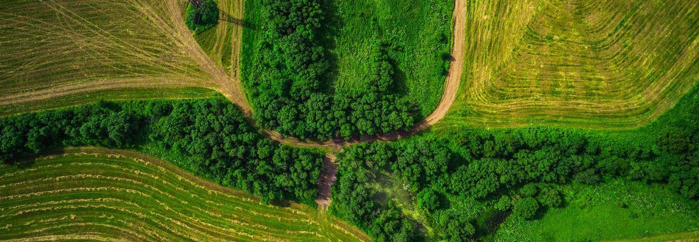 Premier Farm Realty Group & Auction