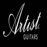 Artist Guitars UK - Shopping in Belfast
