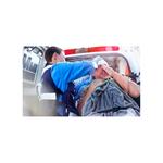 Barkhordarian Law Firm  - photo 8