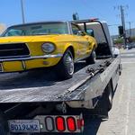 Toro Road Runners LLC - photo 4