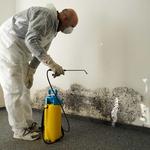 Mould Experts Cairns - photo 3