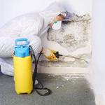 Mould Experts Brisbane - photo 2