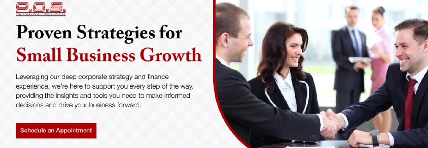 Piscani Consulting Services cover photo