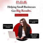 Piscani Consulting Services - photo 2