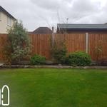 Fencing Clacton - photo 8