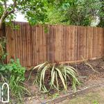 Fencing Clacton - photo 10