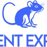 Rodents Expert Perth