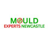 Mould Experts Newcastle
