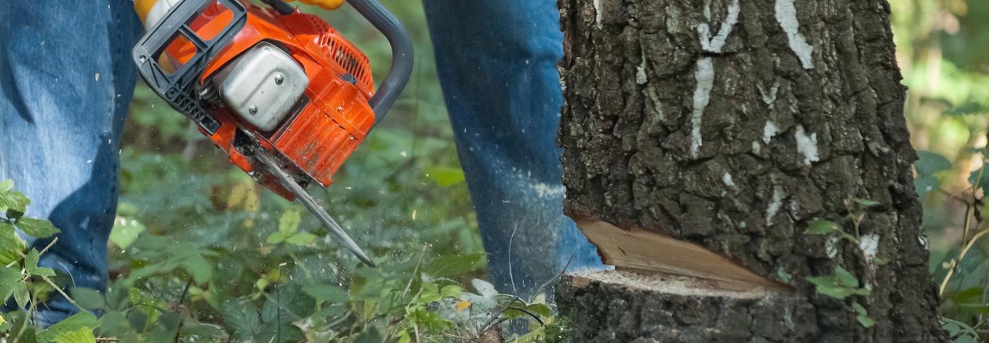 Tree Service ​Columbus Ohio cover photo