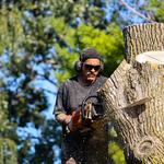 Tree Service ​Columbus Ohio - photo 1