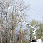 Tree Service ​Columbus Ohio - photo 2