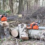 Tree Service ​Columbus Ohio - photo 4