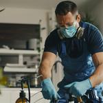 247 Pest Control - photo 1