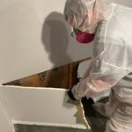 ABC Environmental Contracting Services - photo 1