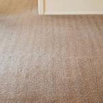 Jasper's Carpet Cleaning - photo 1