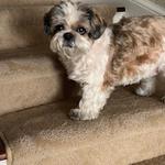 Jasper's Carpet Cleaning - photo 2