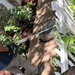 Jasper's Carpet Cleaning - photo 5