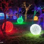 Christmas Decor by Lone Star Electric - photo 1