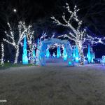Christmas Decor by Lone Star Electric - photo 4