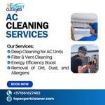 Top Expert Cleaner - photo 1