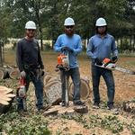 D&M Tree Services - photo 4