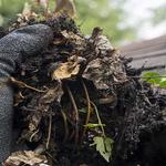 Revive Cleaning - photo 2