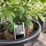 Fine Fettle - Old Saybrook - photo 5