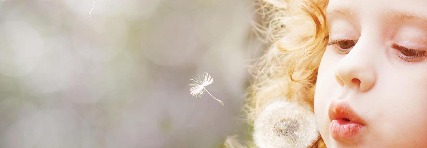 The Nest Early Education Centre of Excellence cover photo