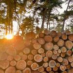 naturbrennstoffe24 GmbH - photo 3