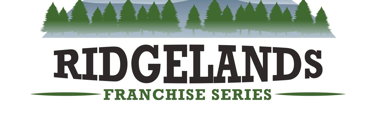 VIC LINDBLOM cover photo