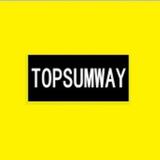 Shanghai Techway Industrial Co Ltd - Marketing in Hengshui