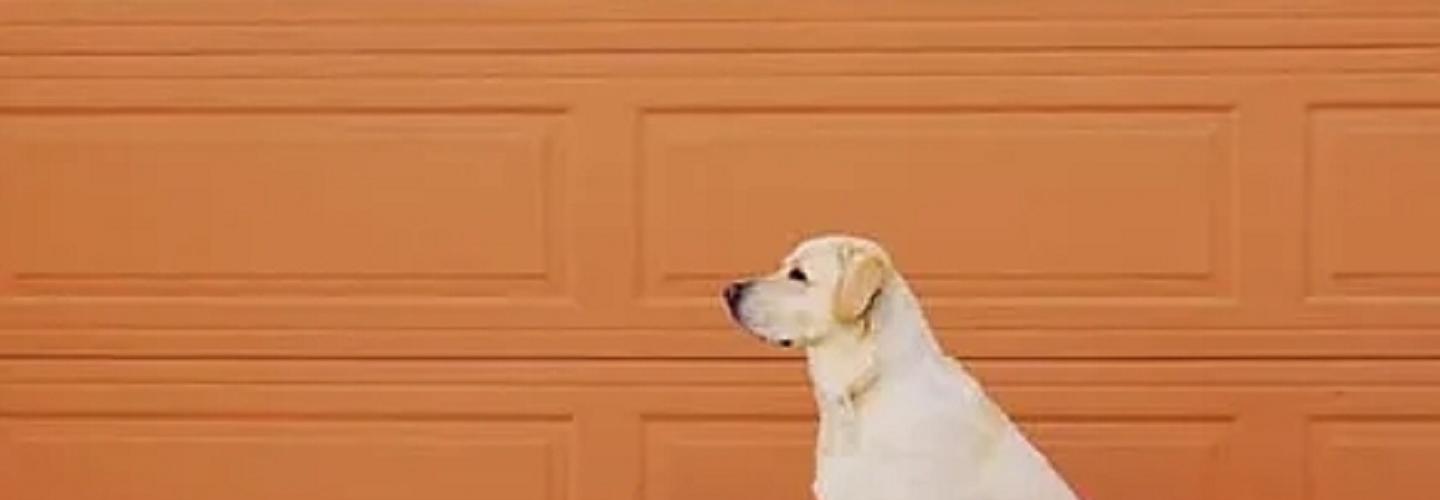 Cape Cod Pro Garage Doors cover photo