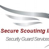 Secure Scouting Inc - Security Systems & Alarms in Antelope