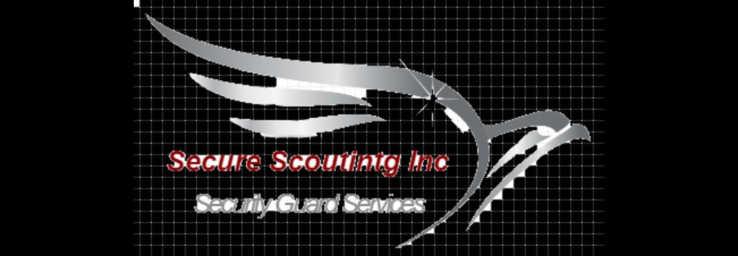 Secure Scouting Inc cover photo