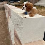 Sandstone King - photo 4