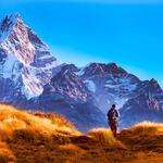 The Himalayan Treks - photo 3