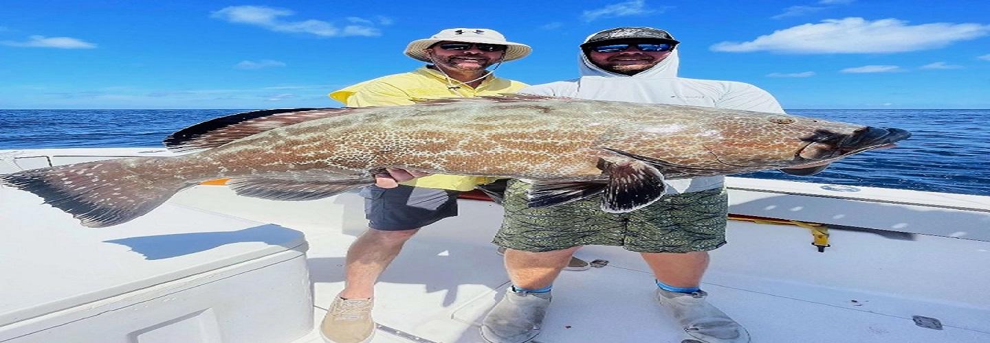 Fish Key West Florida cover photo