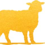 Golden Lamb - Food Tours in Lebanon