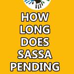 SASSA STATUS CHECKER - photo 1