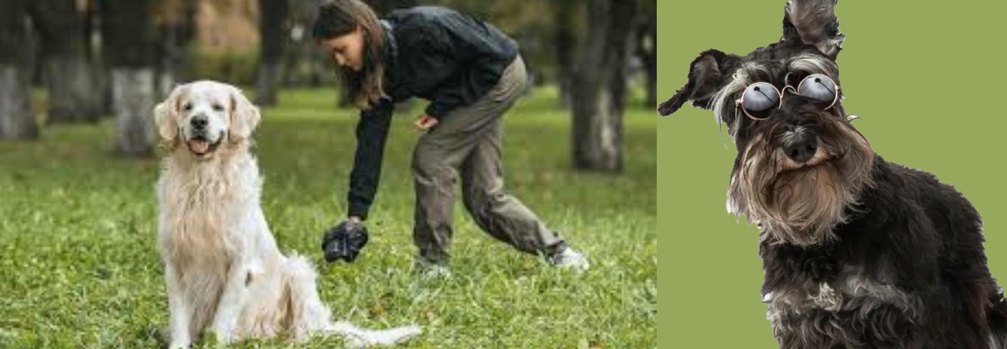 Tidy Yard cover photo