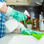 Cap City Maid - photo 1